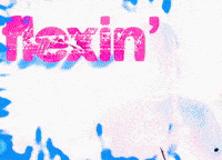 Flex Flexing GIF by New 11