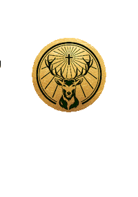 Carnaval Sticker by Jägermeister NL