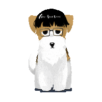 Fw Flashwolves Sticker