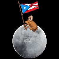 Puerto Rico Pr GIF by Esculpiendo Pensamiento