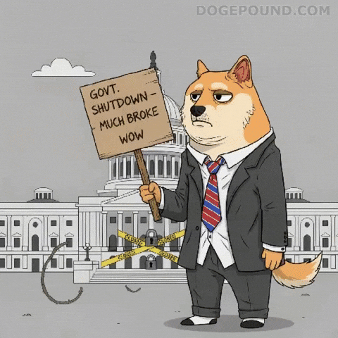Government Shutdown Wow GIF by Doge Pound