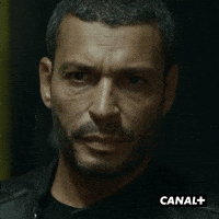Serie Lol GIF by CANAL+