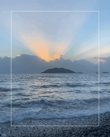 The Way Life GIF