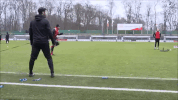 kÃ¶ln GIF by 1. FC Köln