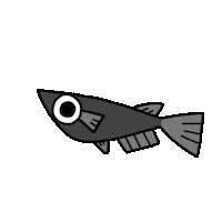 Fish Sticker by とある女のメダカ暮らし-a medaka life  of certain woman-