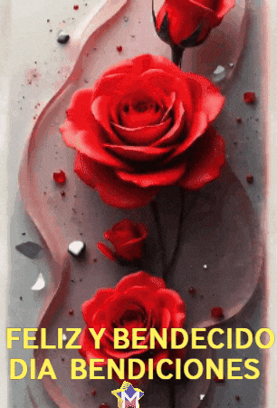 Flores Amigas GIF by Murcianys LLC