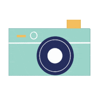 Picture Camera Sticker