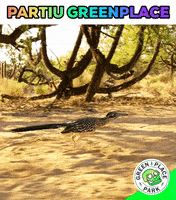 Gppark Reinogarcia GIF by Greenplace TV