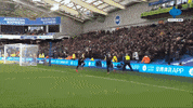 Happy Celebration GIF by MolaTV