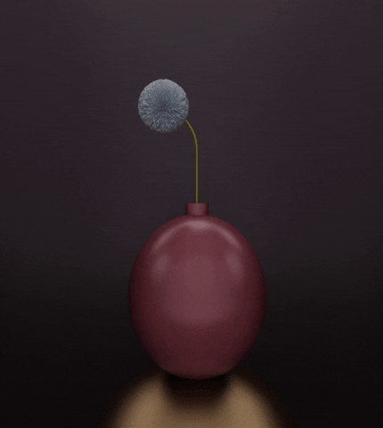 kmjcr giphyupload flower die born GIF