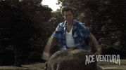 jim carrey alrighty then GIF by Morgan Creek