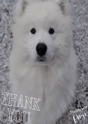 Thanks Gracias GIF