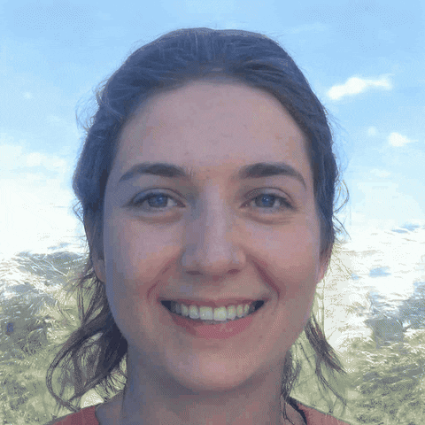 gifcibasi giphyupload GIF