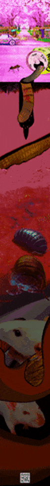 fid0 giphyupload GIF