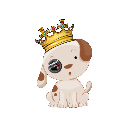 Royal Dog Cane Sticker by AnimalNewsTV