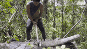 Amazon Ecuador GIF by The Guardian