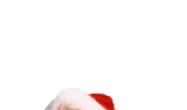Christmas Holiday Sticker by Dolly Parton