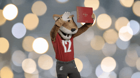 Washington State Go Cougs GIF by WSU Pullman