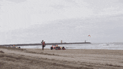 Red Bull F1 GIF by Red Bull Racing