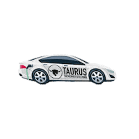 Security Tesla Sticker by TAURUS Sicherheitstechnik