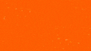 Brown GIF by Flint Firebirds