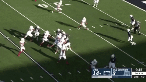 sletizia14 giphyupload GIF