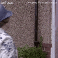 Keeping Up Appearances Surprise GIF by britbox