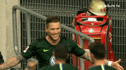 football soccer GIF by VfL Wolfsburg
