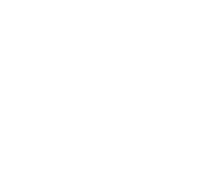 New Item Sticker