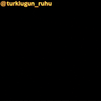 Turkish Triple Baka GIF