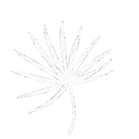 Palm Leaf Plant Sticker by Kelly Packard