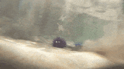 finding nemo pixar gif GIF by Disney Pixar