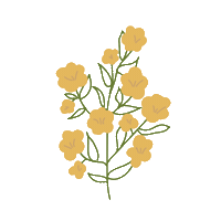 Flower Sticker by Axolot Agencia