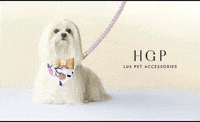 Hgp Pet Accessories GIF by Happy Go Puppy Luxury Pet Accessories