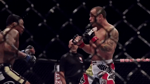 ufc mma GIF