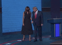 Donald Trump No GIF by Election 2020