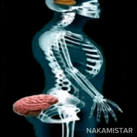 Brain Iq GIF