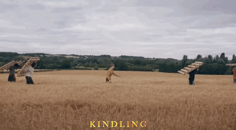 Summer Field GIF by Signature Entertainment