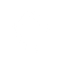 Lifenews Sticker by Life.ru