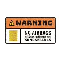 Truck Auto Sticker by SuperSprings International