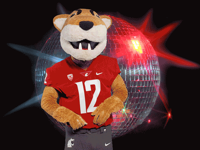 Washington State Go Cougs GIF by WSU Pullman