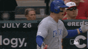 major league baseball sport GIF by MLB