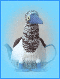 Sea Bird GIF by TeaCosyFolk