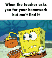 homework GIF