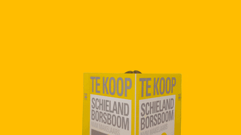 Real Estate Makelaar GIF by SchielandBorsboom