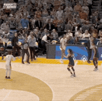 Ncaa Tournament Win GIF by NCAA March Madness