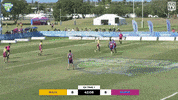 touchfootballaustralia touch touch football touch footy nrl touch football GIF