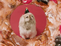 mad_genius christmas cute dog stella naughty dog GIF