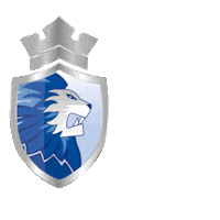 Ijshockeynederland Sticker by @dordrechtlions