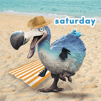 Monday Sunday GIF by Dodo Australia